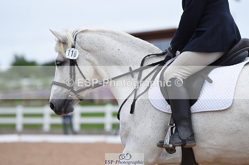 230701A-101558-04303 - Cls 2 Intro B