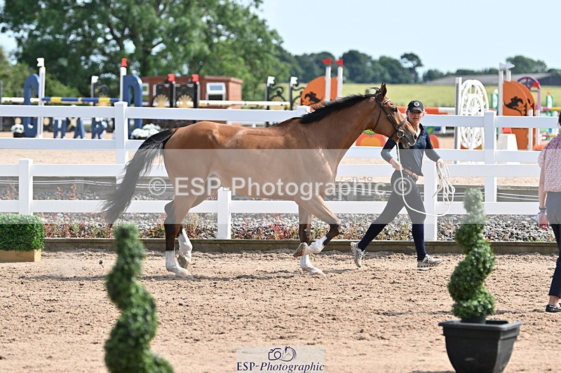 240717A-160140-03268 - Trot Up 4pm to 5pm