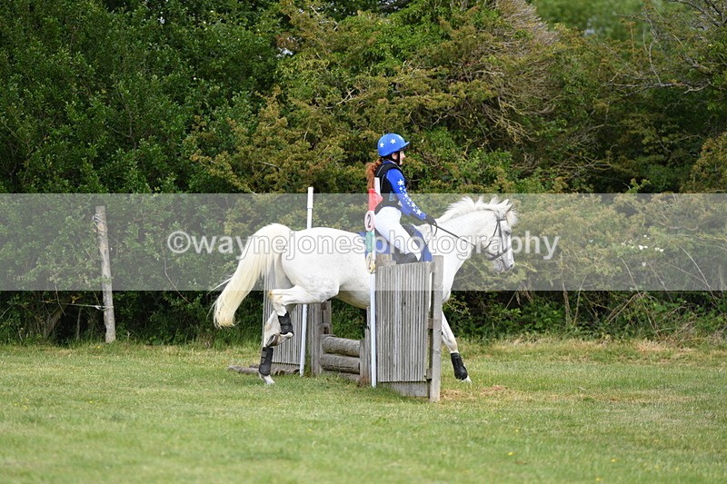 WJ5_2390 - Class 2 40cm