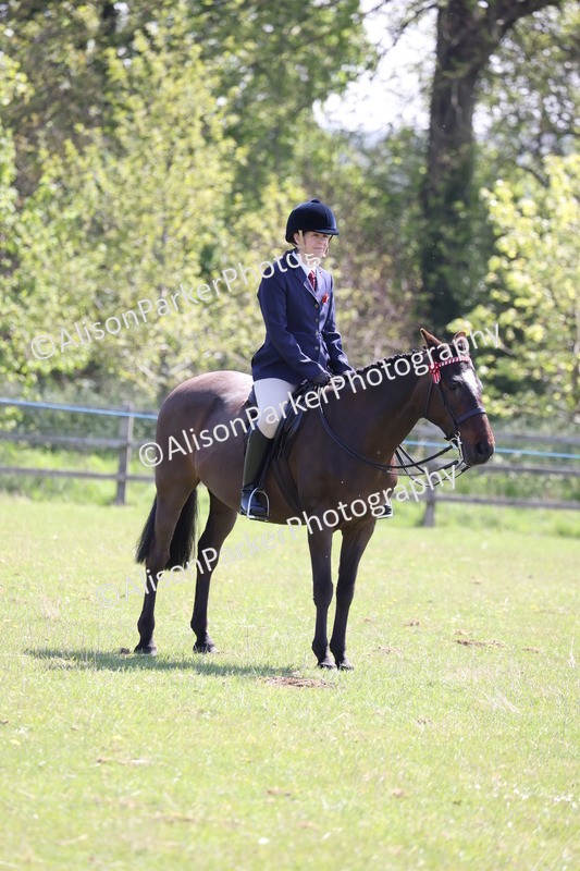 20250427-3280 - Class 33 - Best Pony 14.2hh and Under