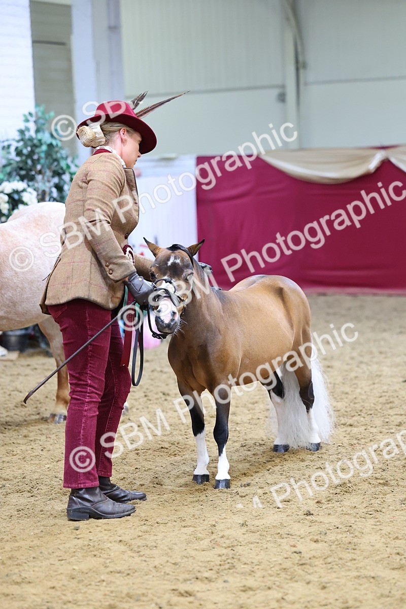 SBM_21112 - Class 902 - Supreme Final IH Veteran