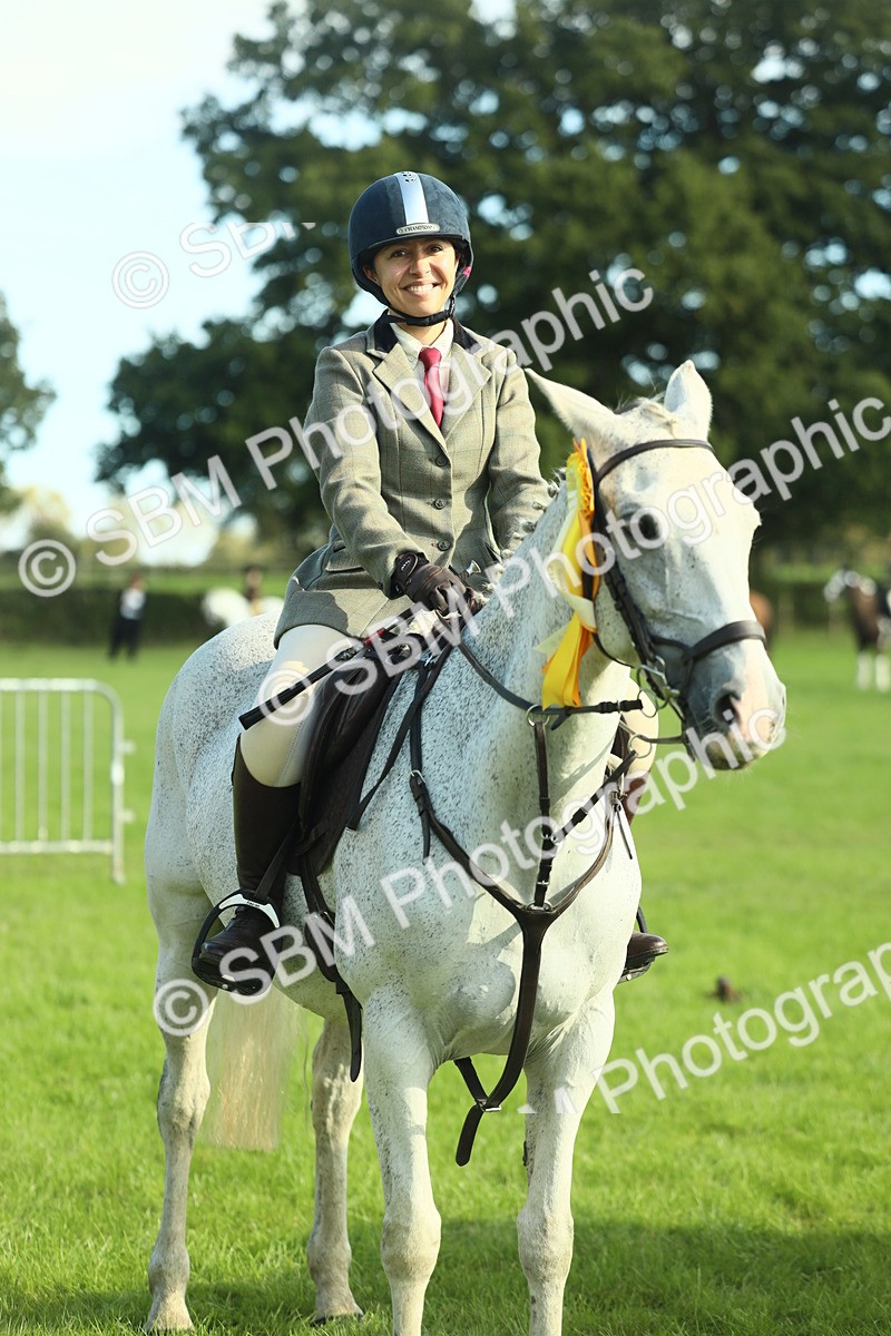 SBM_49926 - S32 - Novice & Newcomers Working Hunter