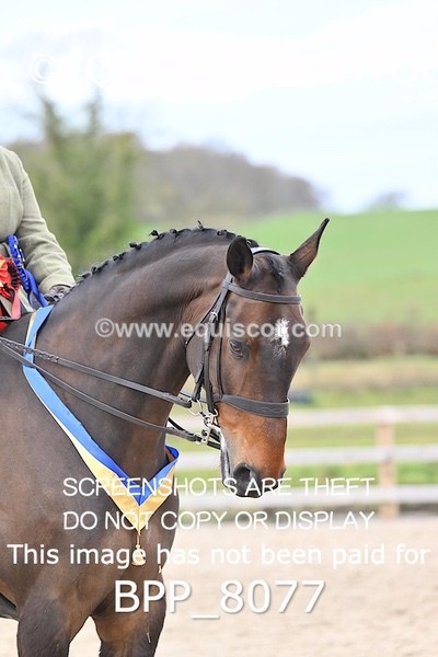 BPP_8077 - SUPREME CHAMPIONSHIP