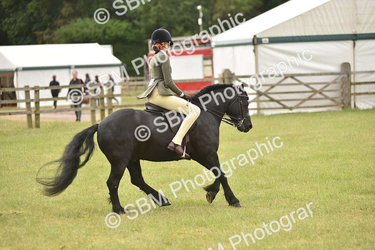 SBM_10711 - Class 110-112 - LIHS BSPS Performance Pones