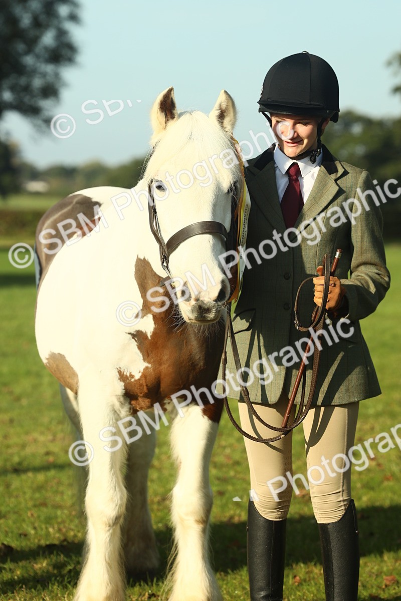 SBM_58492 - S37 - Starters In Hand Showing