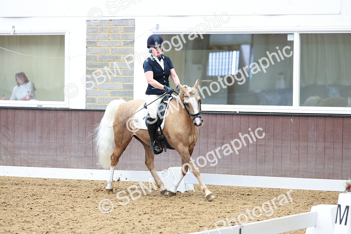 SBM_001206 - Class 5-6 - Novice 1-Elem 1