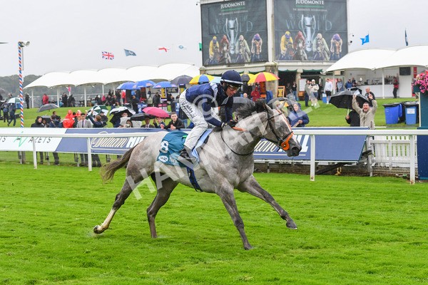 140723-Race 3-Symbology-0284 - Race 3 3.15pm William Hill Keep Your Raceday Positive Irish EBF Fillies' Novice Stakes