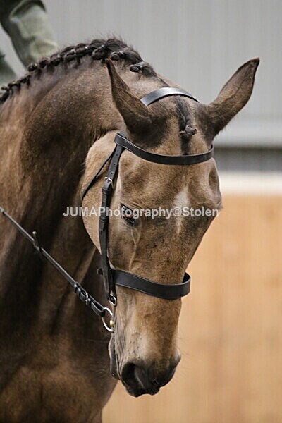 SIAL2756 - Sunday 14th Ridden