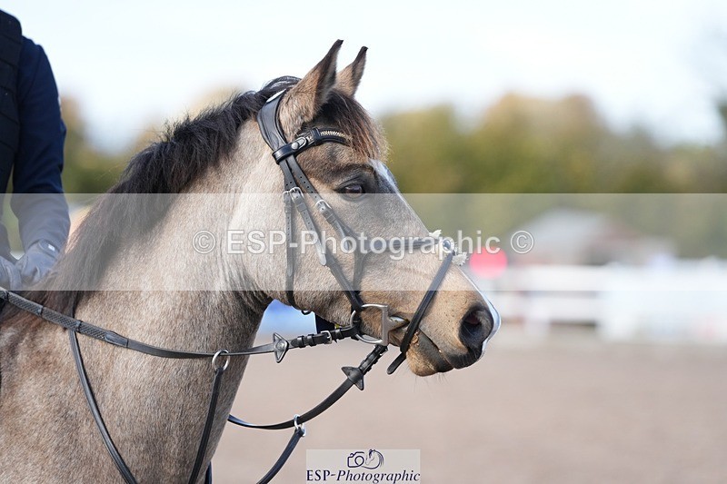 251025-122907-00371 - Cls 8 Pony Winter Pearl Champ Qualifier