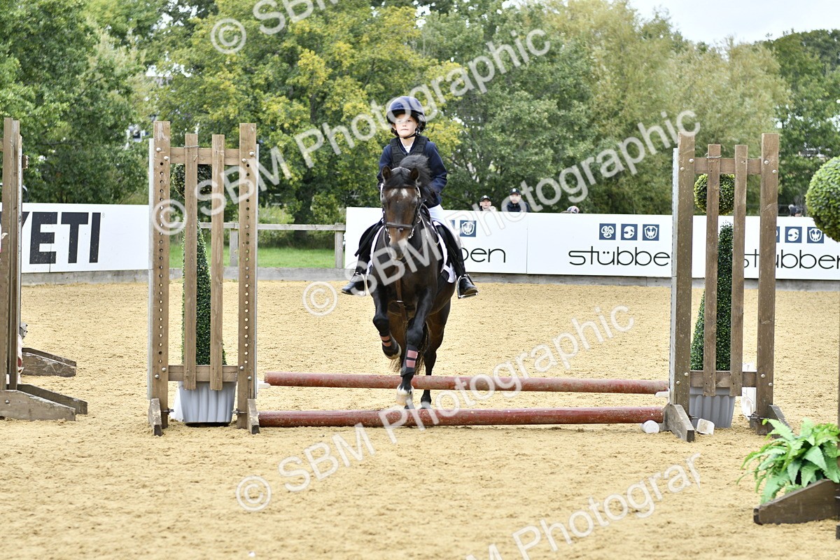 SBM_65413 - J2a mini Tour Junior Pony 30cm Championship