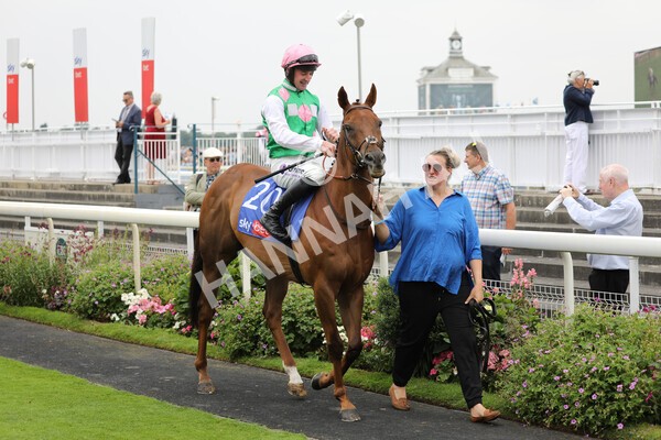 yr23072022r1-41 - Race 1 2.05pm Sky Bet Jump Jockeys Nunthorpe