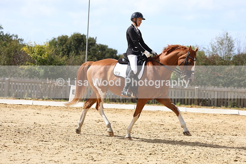 3E7A4792 - Class 11: Elementary Music