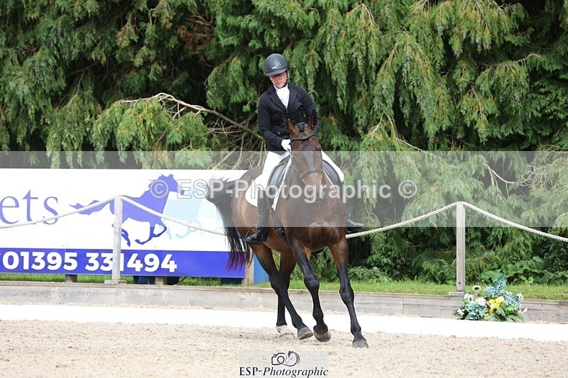 230812-153604-05166 - Cls 5 Novice Bronze 15.00 to End