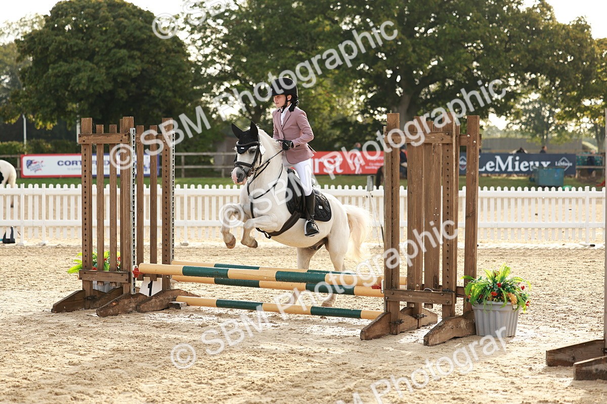 SBM_55548 - J11 - Junior Pony 50cm Championship