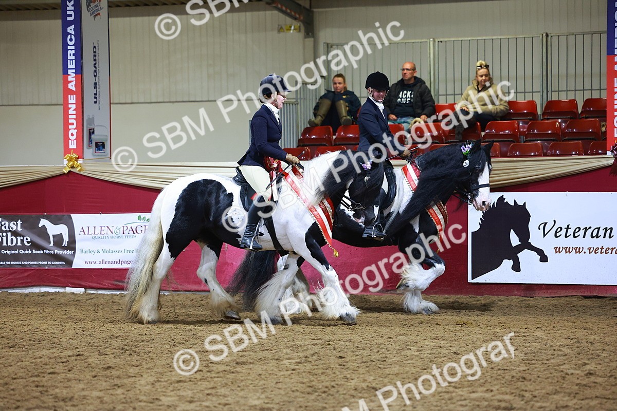 SBM_15175