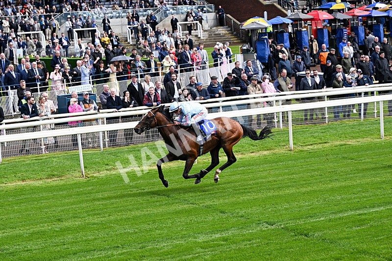 130526-Race 2-Klassleader-0110 - Race 2 2.20pm Sky Bet Race To The Ebor Jorvik Handicap