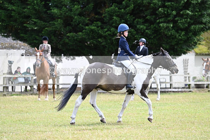WJ7_9686 - Class 8 Ridden Veterans