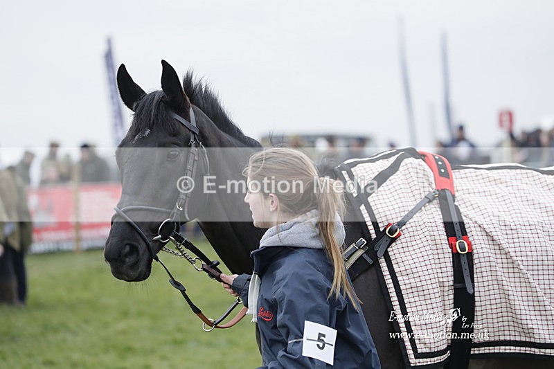 PtP 050323 1041 - Blackmore & Sparkford Vale Hunt PtP - Somerset 05/03/23