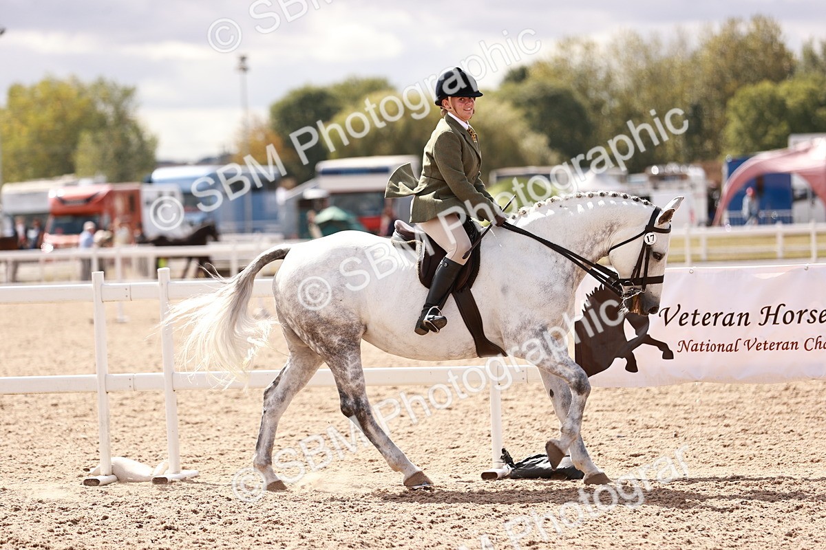 SBM_14438 - Class 410 - Grassroots Ridden - Horse