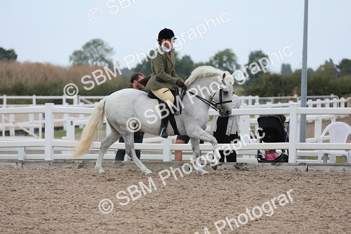 SBM_18058 - Class 316 Best Pony/Rider Combination