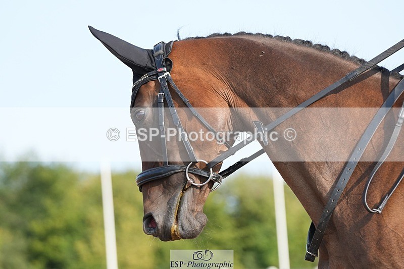 250815-091032-00039 - 005-Patricia.HaskinsGaelic.Surprise