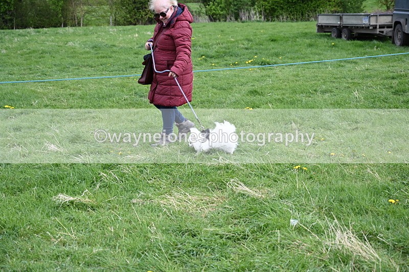 WJ6_8089 - Class 2 Best Pedigree