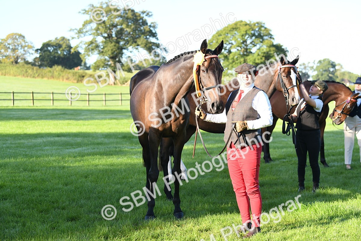 SBM_32843 - S15 - Condition & Turnout In Hand