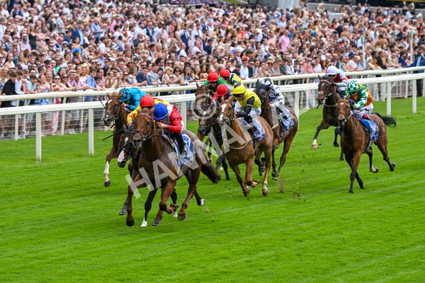 280625-Race 1-Archivist-9930 - Race 1 1.55pm Al Basti Equiworld Dubai Mile Handicap