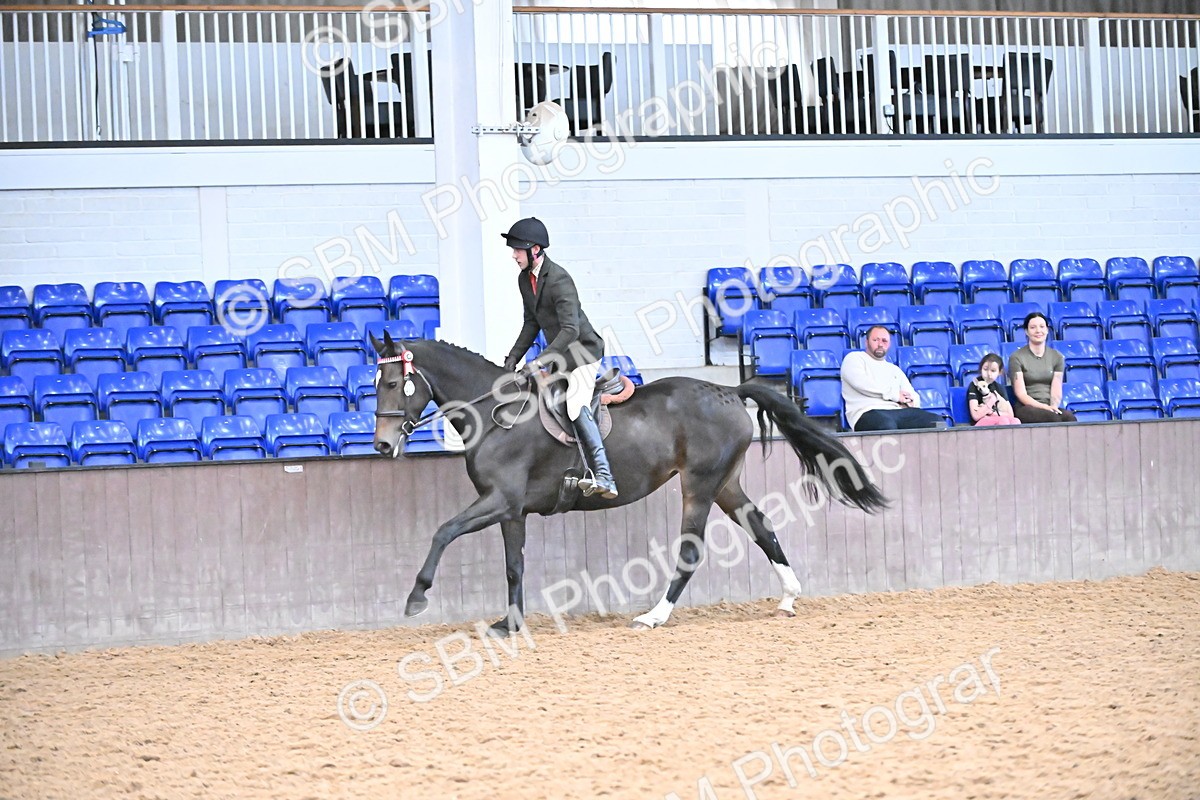 SBM_002399 - Class 22 - BSHA Ridden Hack & Riding Horse