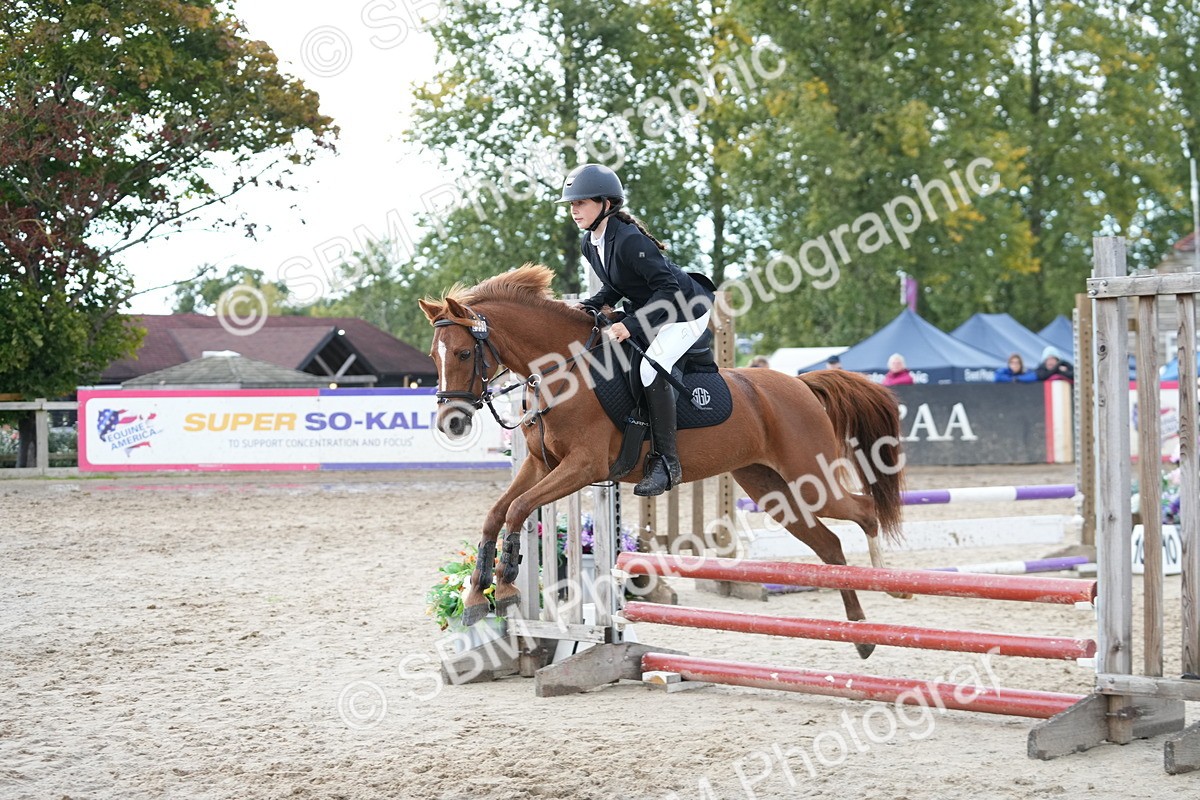 SBM_40016 - J6 - Junior Pony 55cm Championship