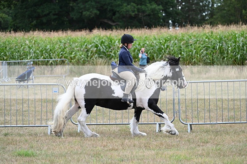 WJ7_5343 - Class 12 Ridden Cob