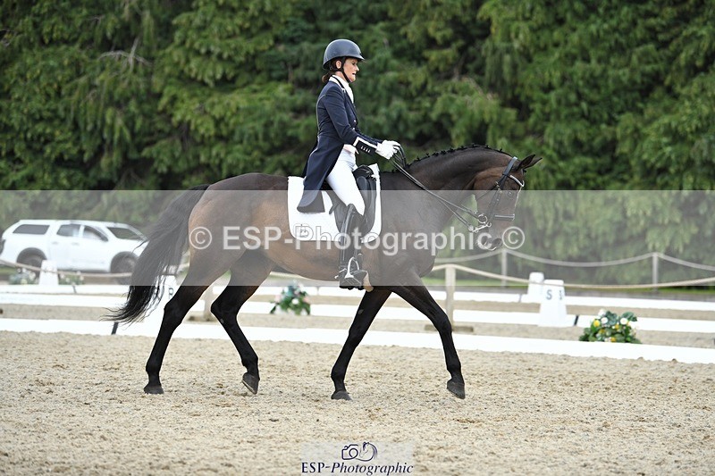 230812-143206-04722 - Cls 7 FEI PSG Bronze