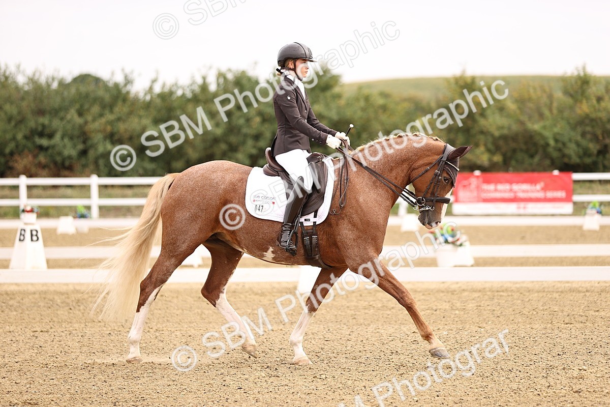 SBM_011524 - Class 1 - Medium 5