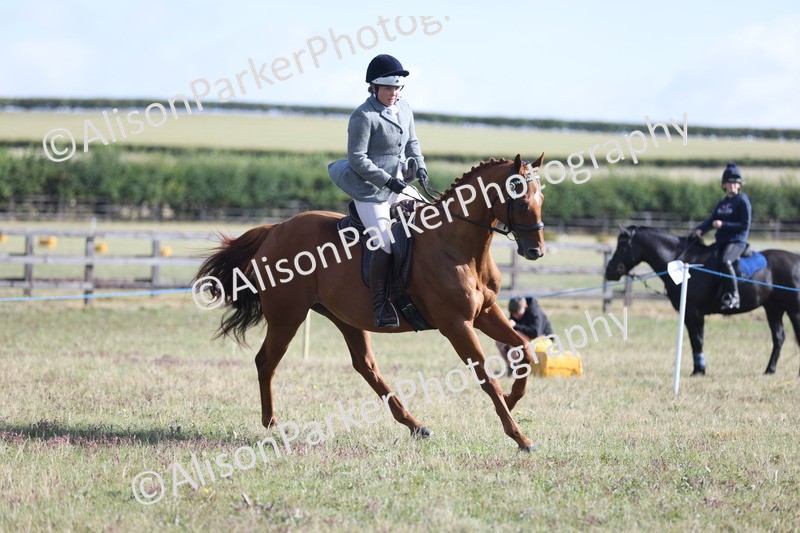 20250831-0911 - Class 14 - Ex Racehorse