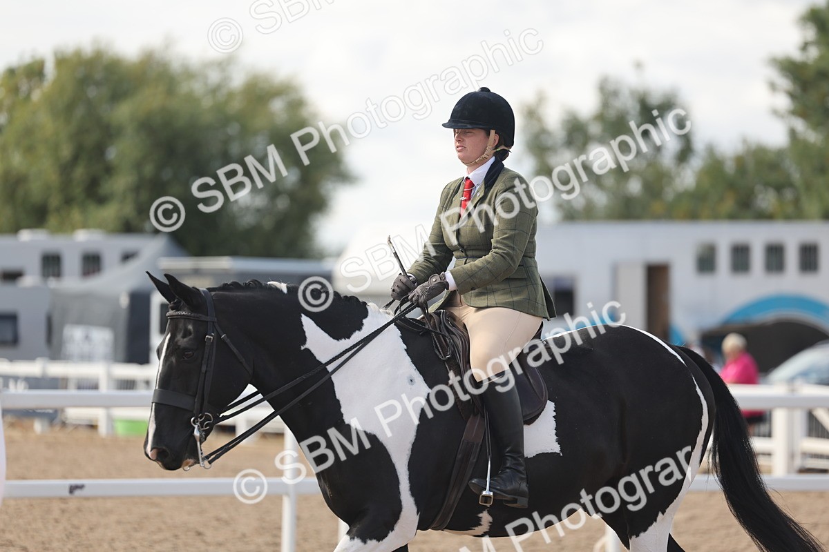 SBM_14818 - Class 308 - Ridden Coloured Horse