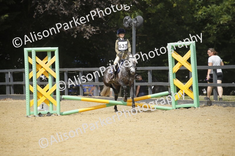 20250622-4012 - 50cm