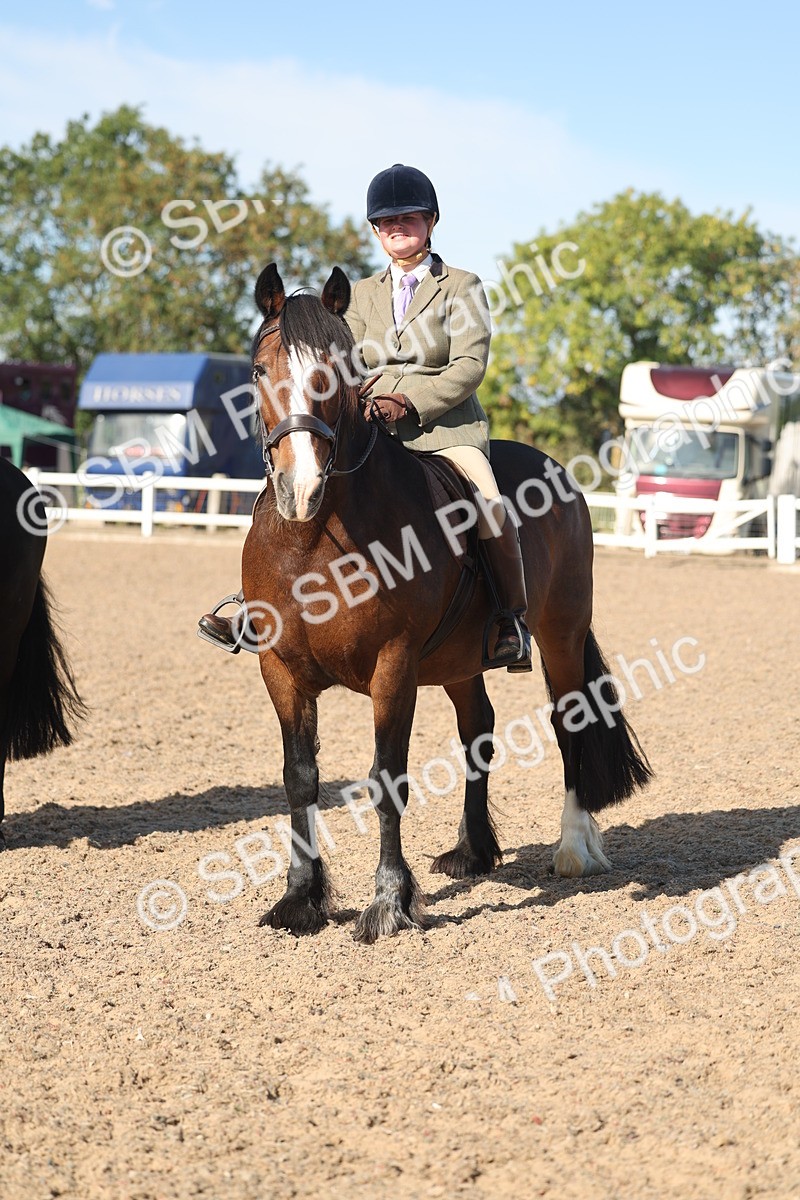 SBM_12382 - Class 304 - Ridden part Bred Horse Pony