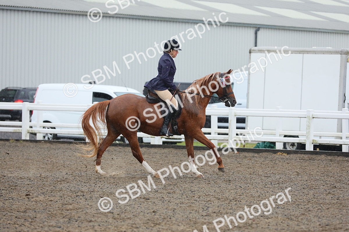 SBM_20363 - Class 803 - Ridden Combination 65+