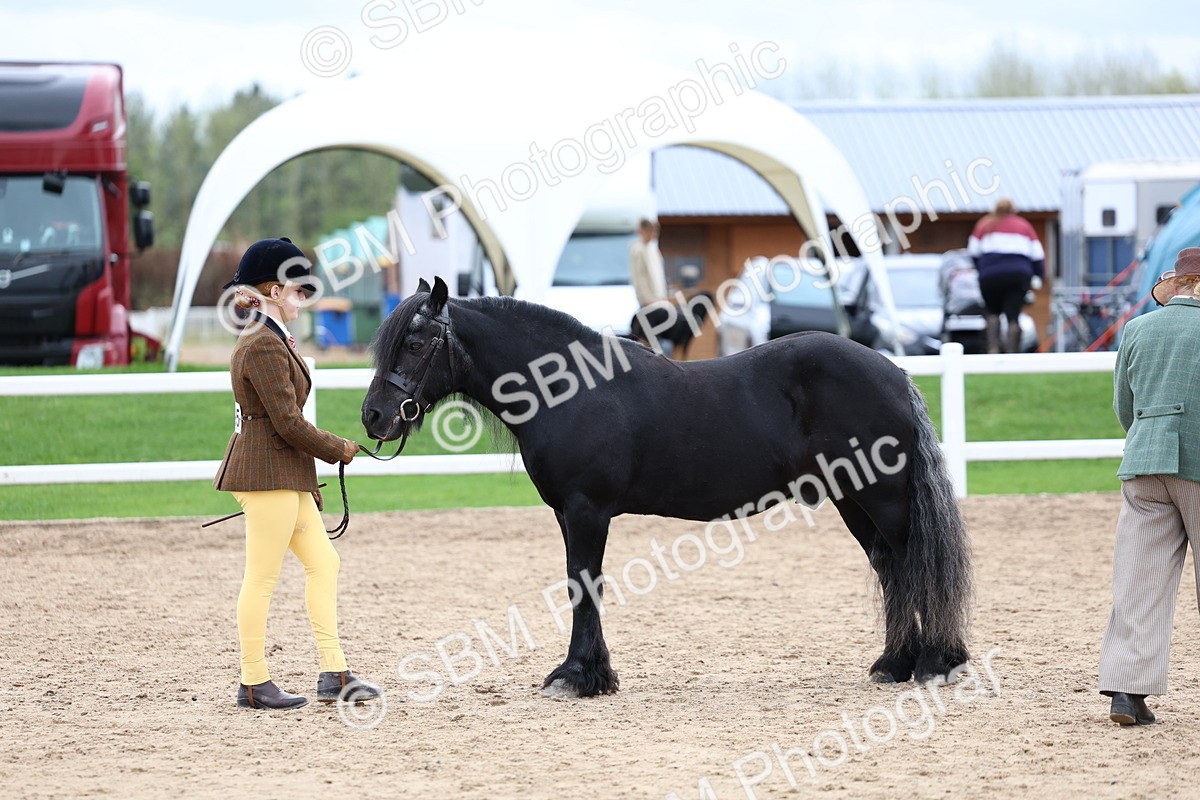 SBM_05946 - Class 29 - IH Veteran Pony