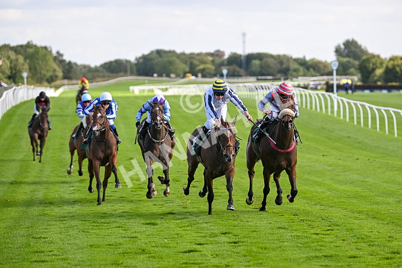 100924-Race 4-Scarboroughwarning-0335 - Race 4