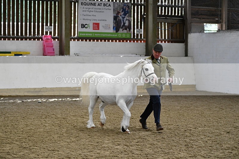 WJ5_5342 - Class 4 In hand M&M - small breeds