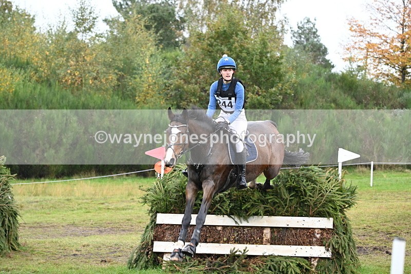 WJ6_4201 - 90cm Cam 1 Time 14:05 to 14:35