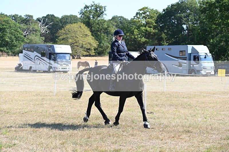 WJ6_7455 - Class 34 Judges Choice