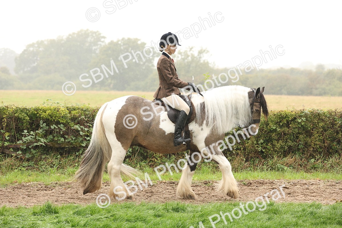 SBM_72657 - S70 - Traditional Cob Ridden