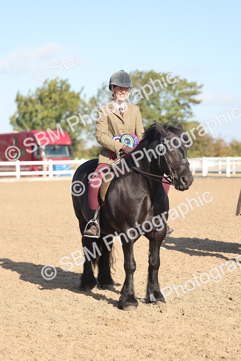 SBM_22244 - Class 802 - Ridden Groom Helpers Class