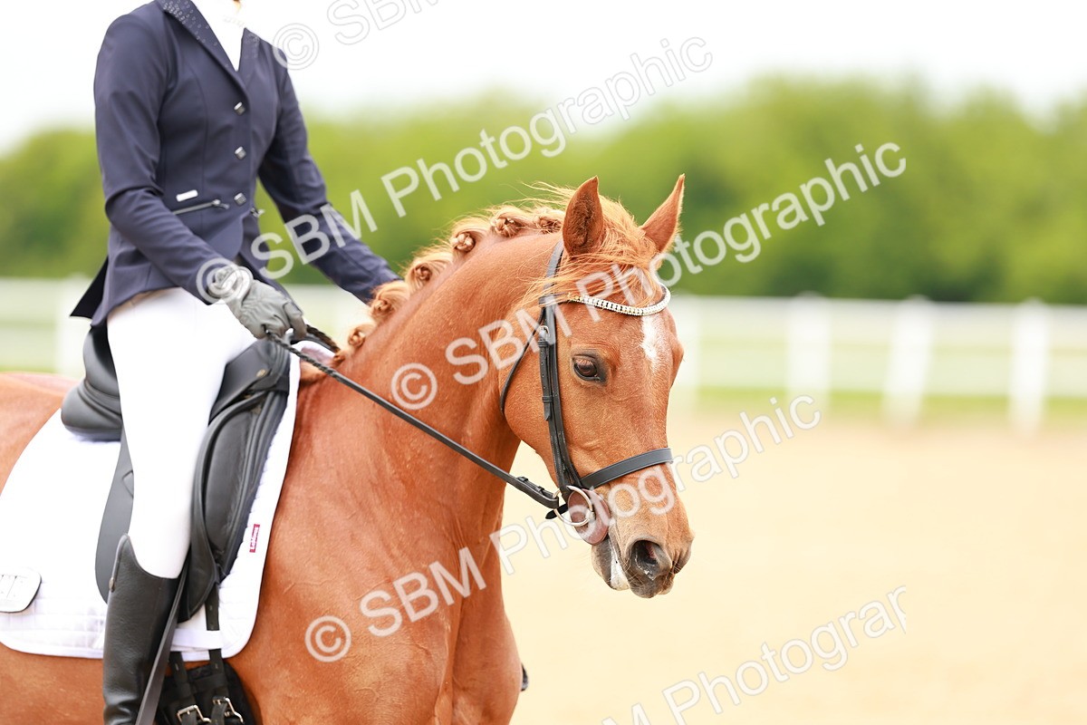SBM_004700 - Class 15 - Novice 5