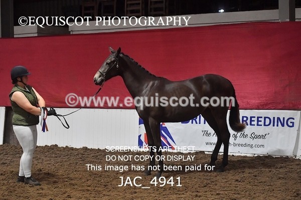 JAC_4941 - 4 River Dance, Take A Chance