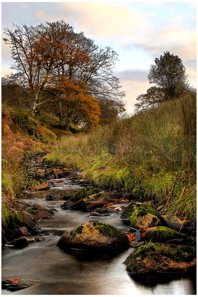 Autumn - Inishowen peninsula, Ireland