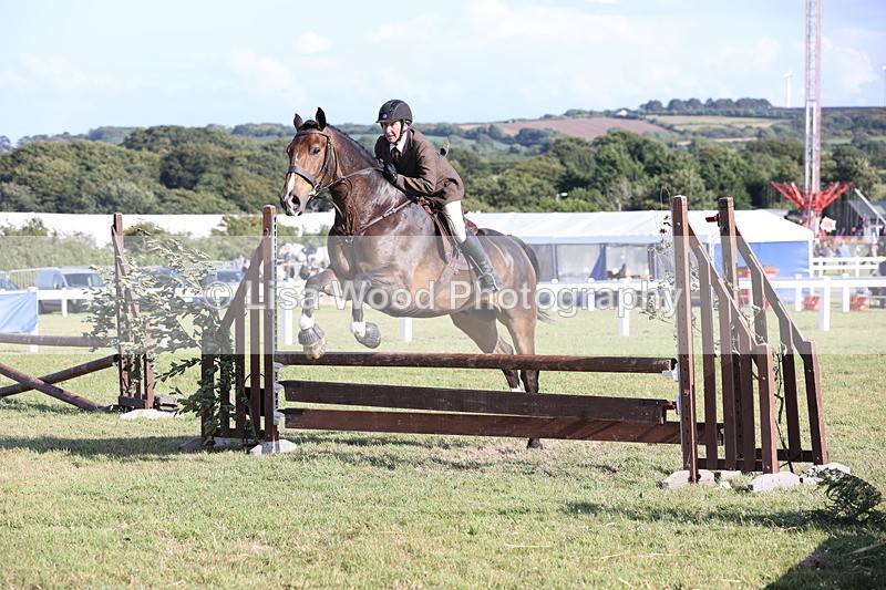 JPP_3097 - Class 21: Working Hunter 80cm