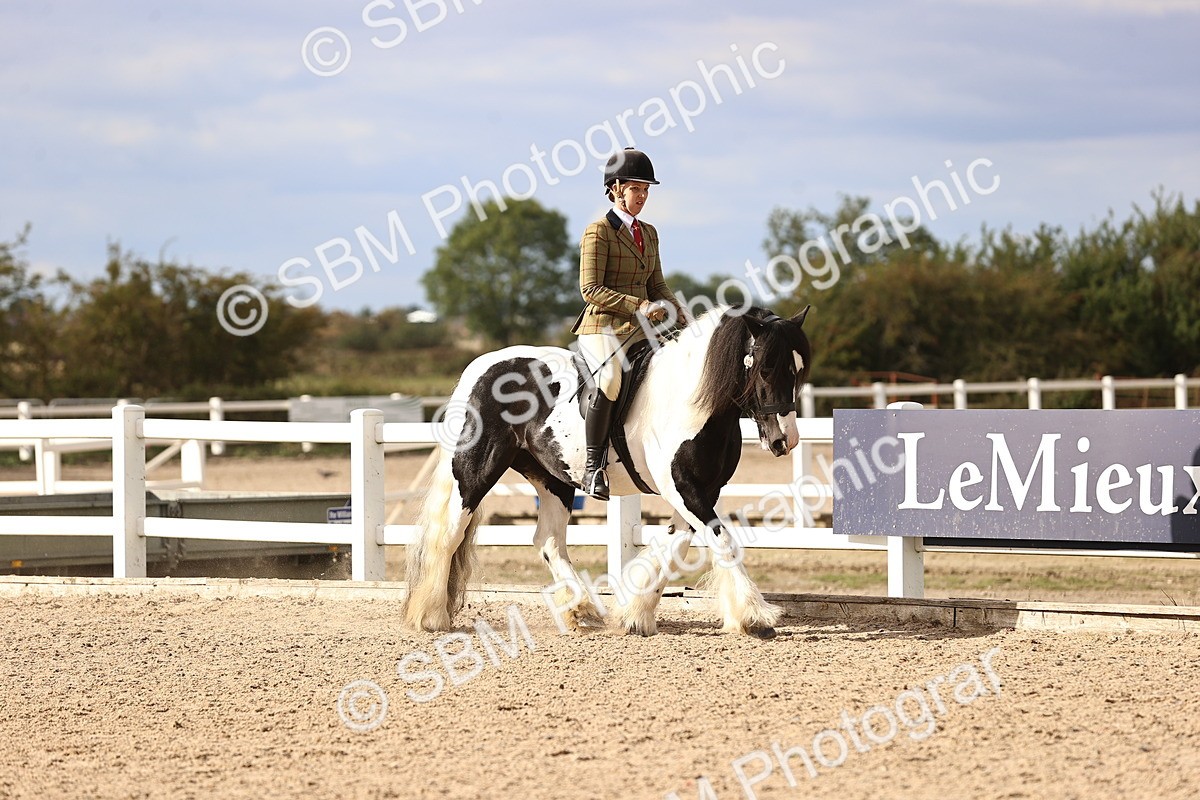 SBM_18156 - Class 423 - Equitation (best rider) Adult